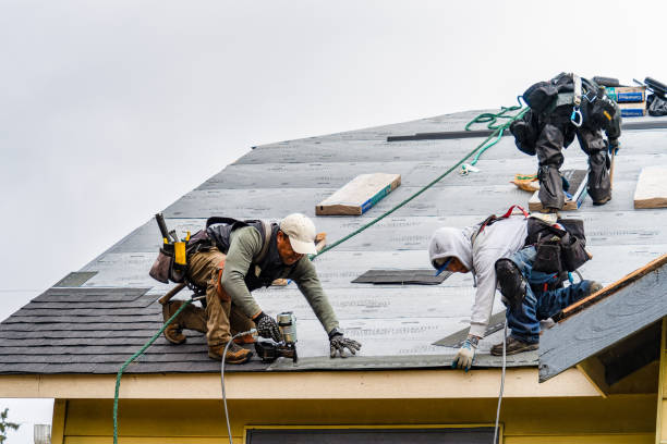 Professional Roofing technician working in Binford, ND